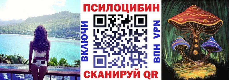 где купить наркотик  Анапа  Псилоцибиновые грибы MAGIC MUSHROOMS 